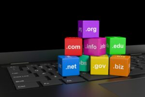 Web Hosting vs. Domain Name