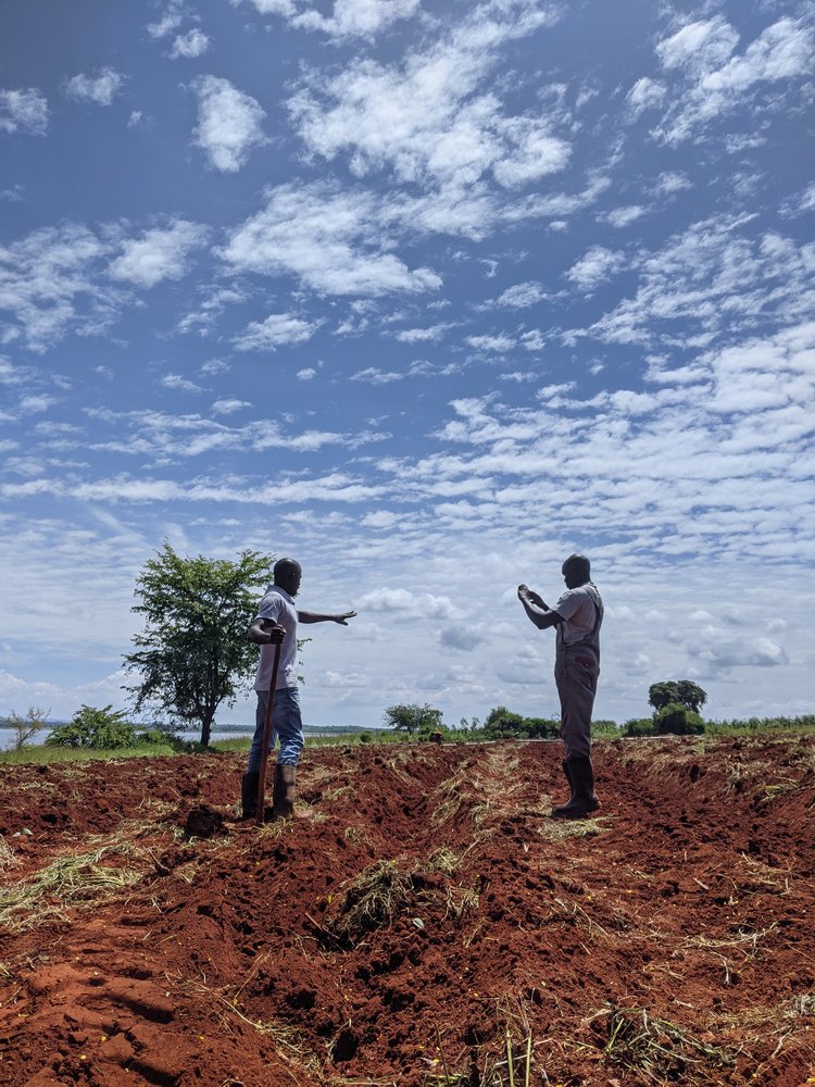 Caribou Digital launches new book, The Platform Livelihoods Project: Research exploring the workplaces of the digital age in Africa & Indonesia